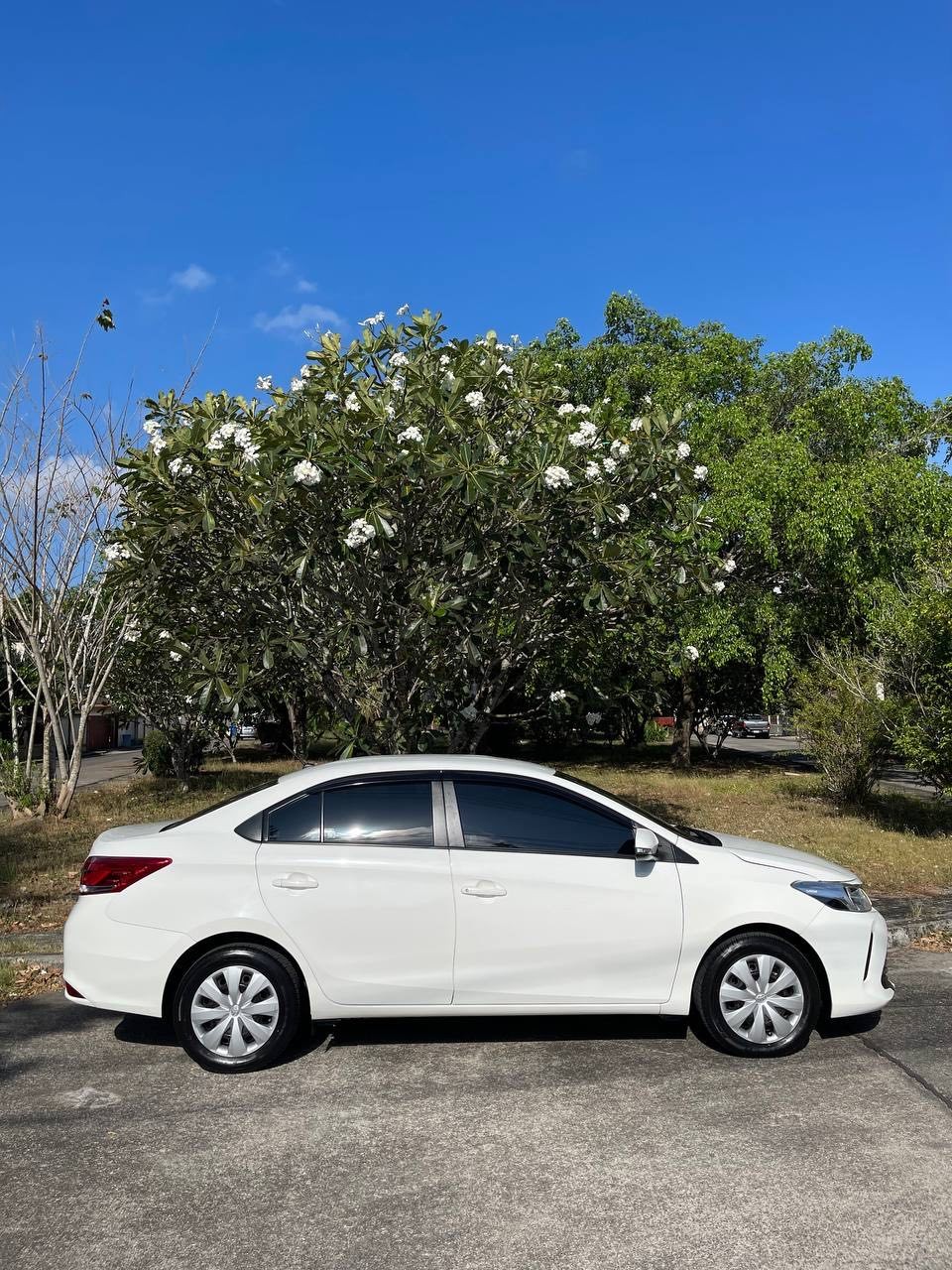 Toyota Vios 2019 — photo 5